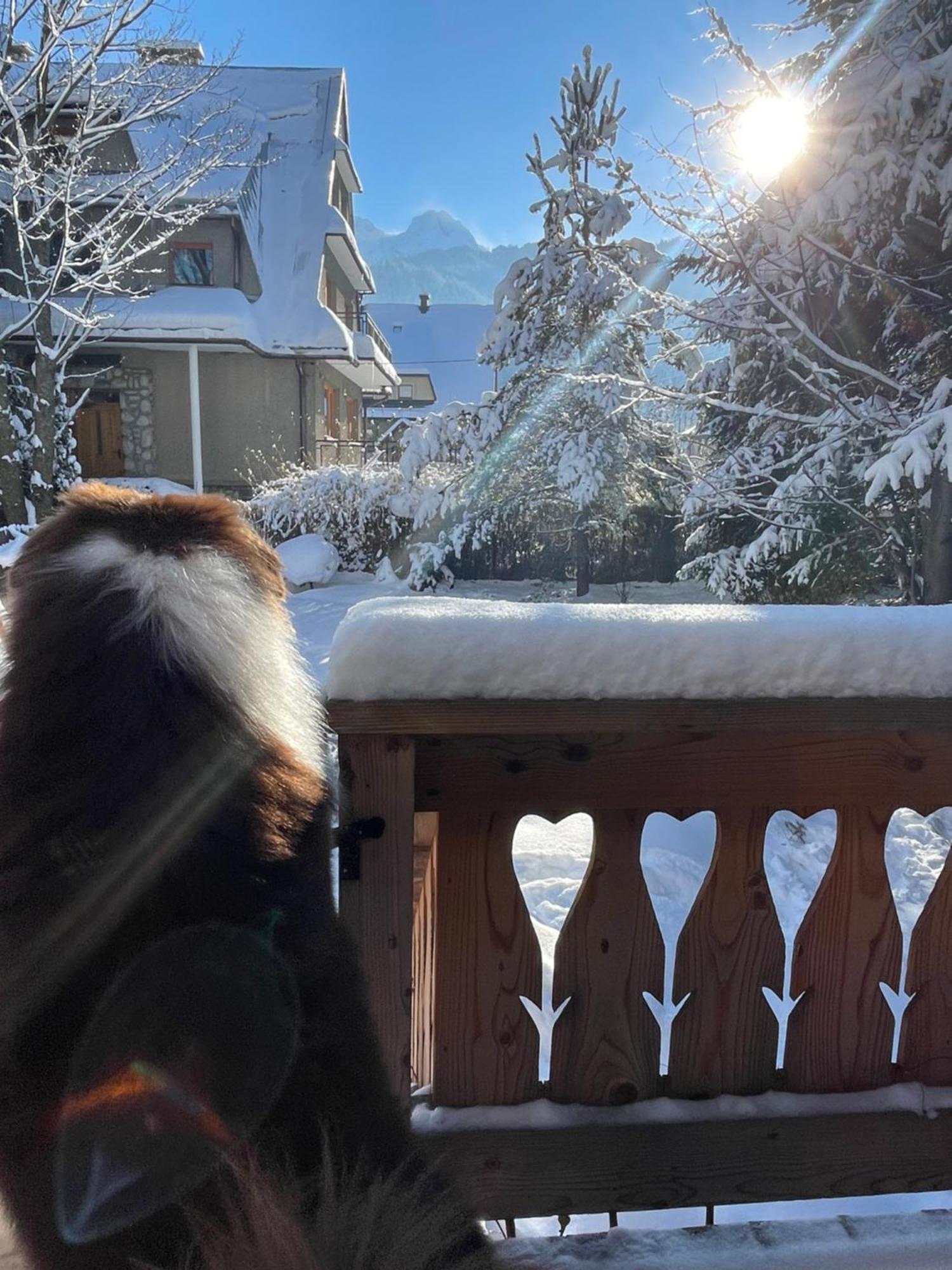 Domek Krzeptowskiego 18 Zakopane Bagian luar foto
